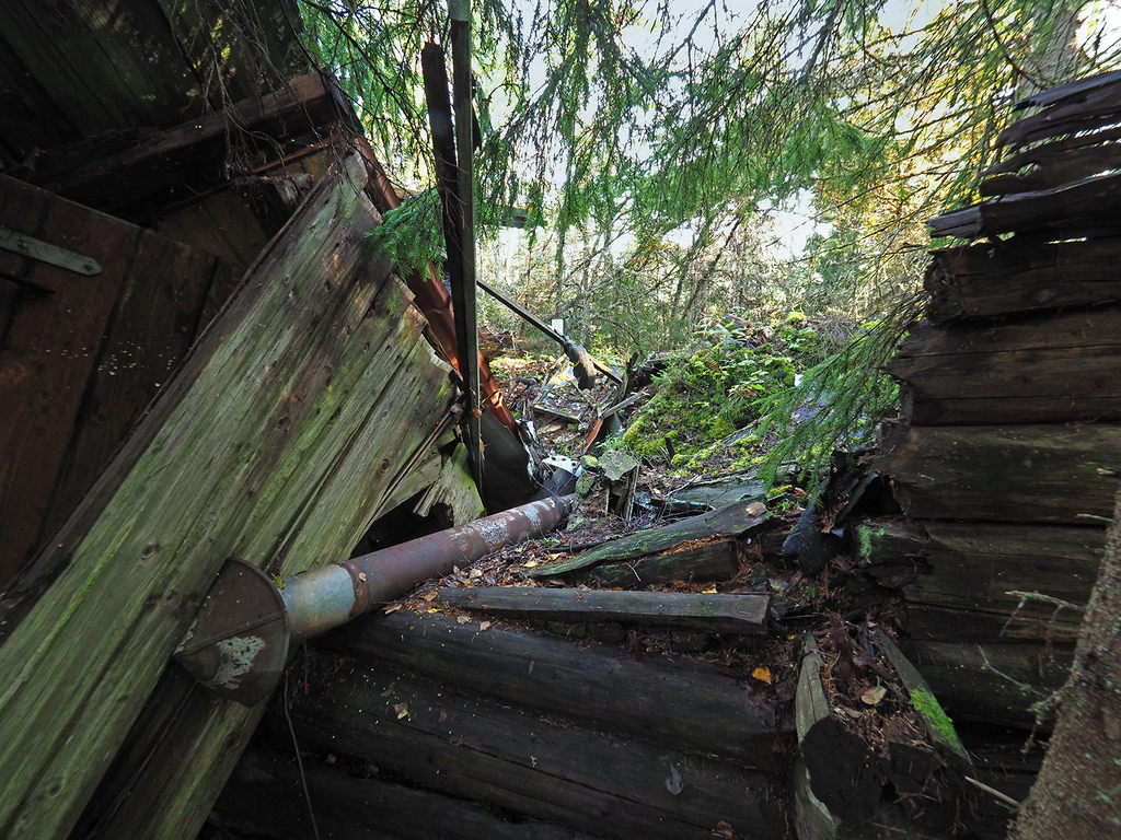 Friskhytta: innsyn til rot