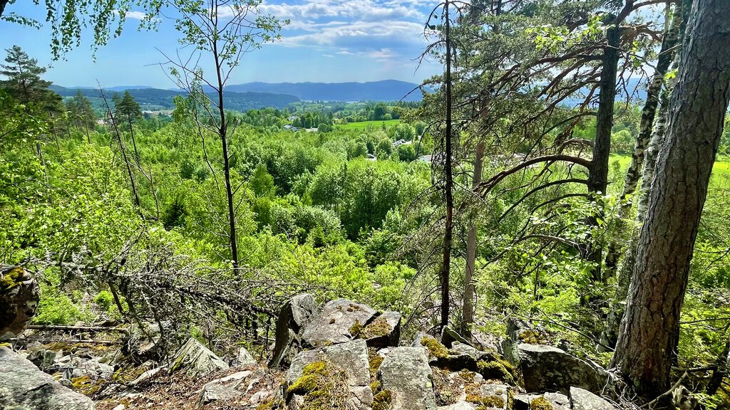 På Gyriåsen sør i Kjekstadmarka