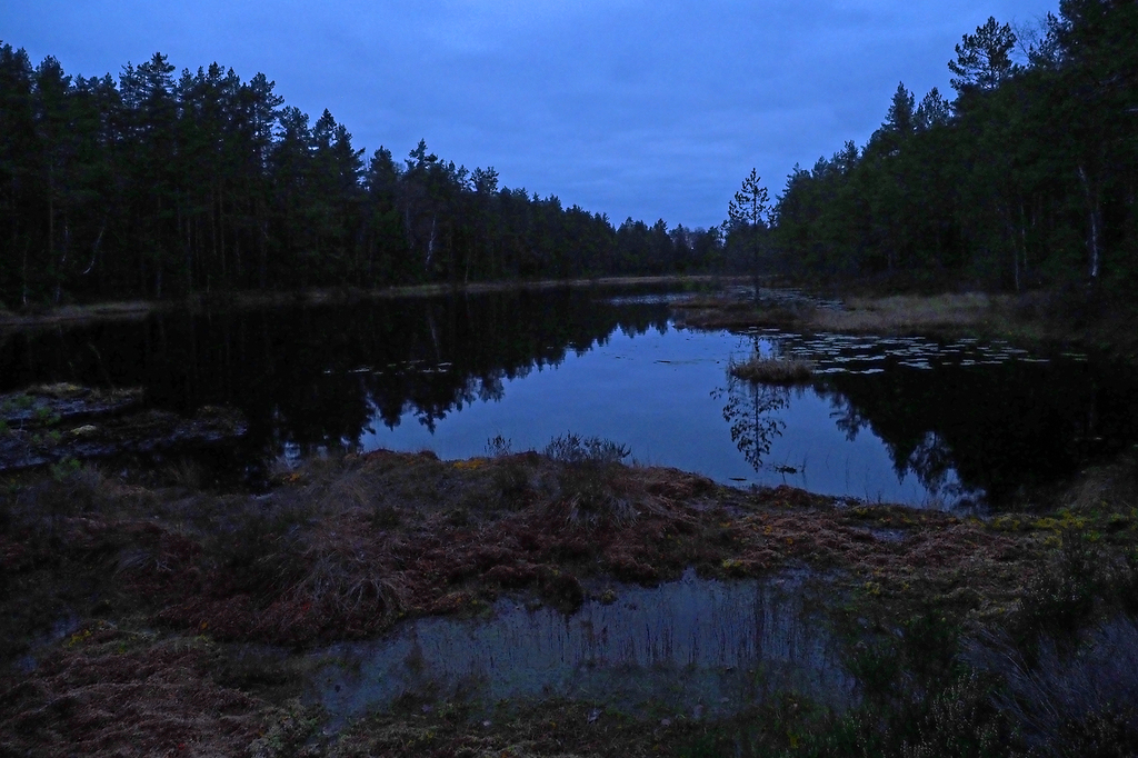 Blåtime ved Gjørjetjern