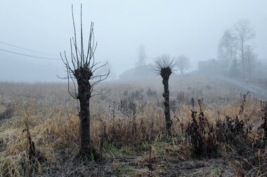 Sæteren gård i tåka