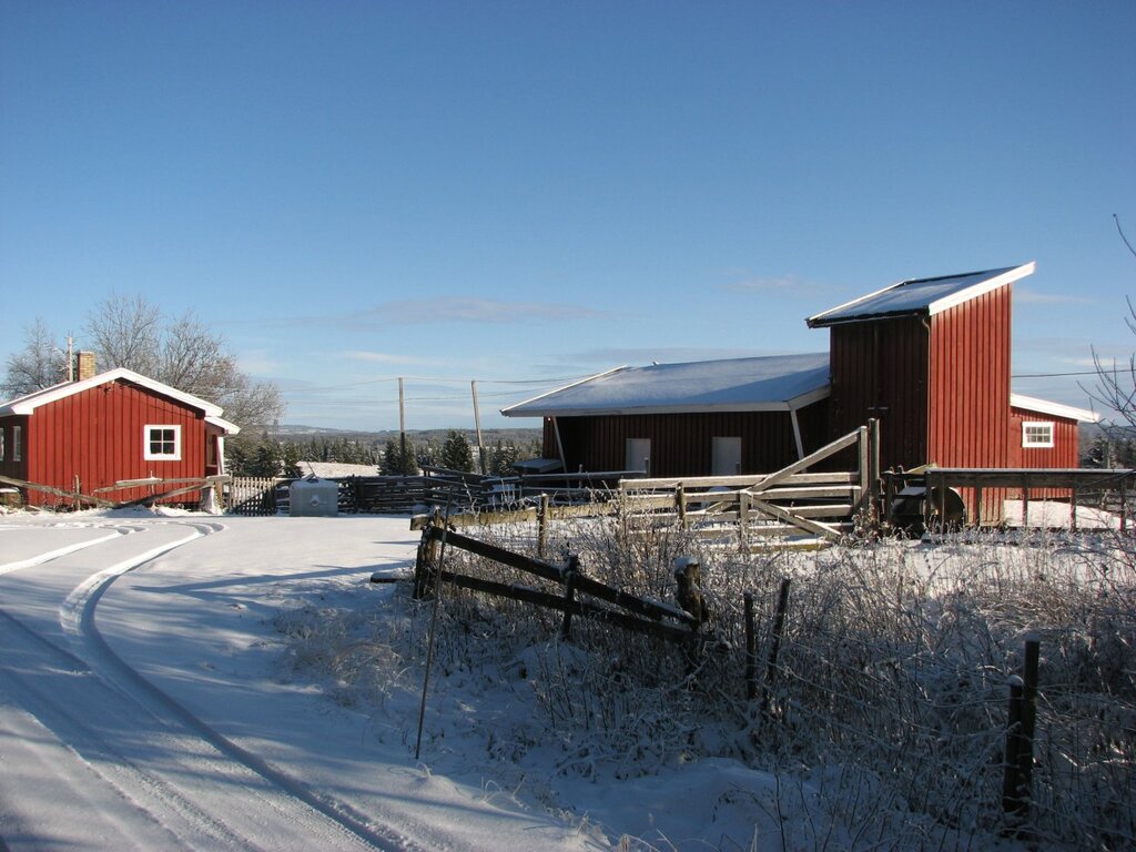 En ny årstid på vei ved Fellessætra