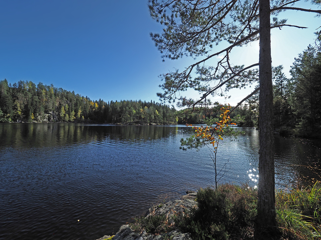 Mosjøen: utsikten til Johan Næss