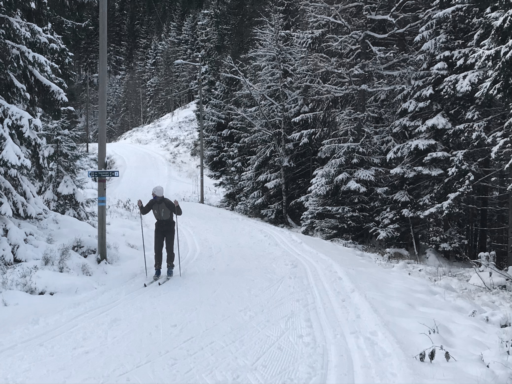 Ferske trikkeskinner