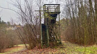 Gjengrodd ved ovarennet