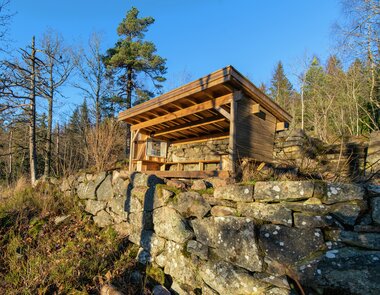 Gapahuk i gyllent lys