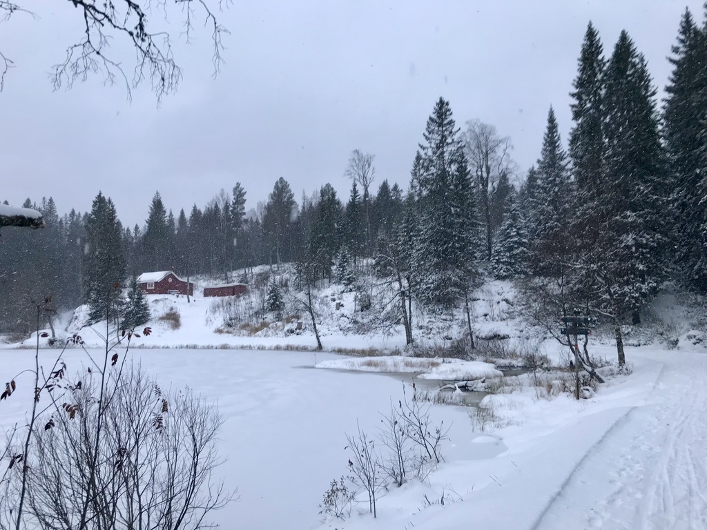 Julestemning ved Skjennungen