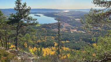 Sprakende høstfarger