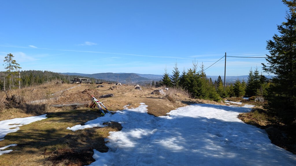 Bar bakke ved siden av løypa
