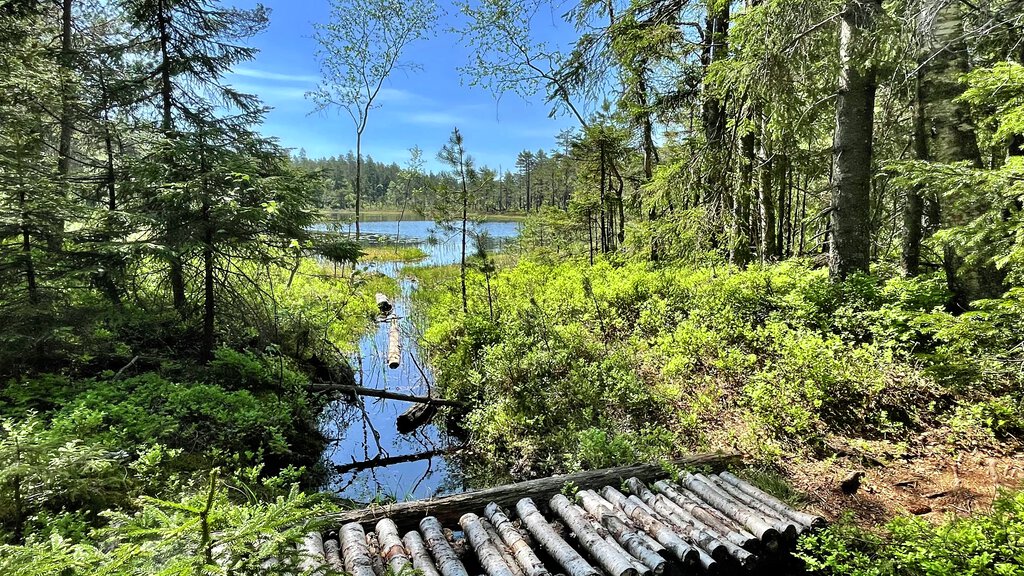 Åstjern: «Ved bekkeutløp N tjern»