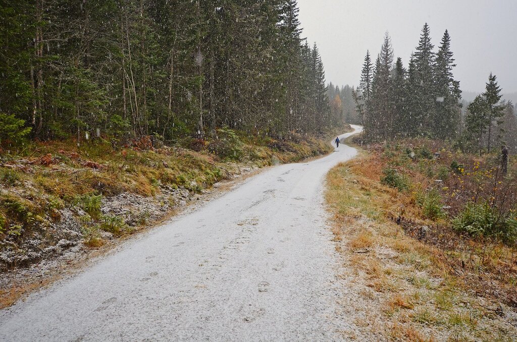 Øyangen: fotspor i nysnøen