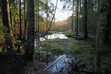 Med Stolpejakten på nissekart