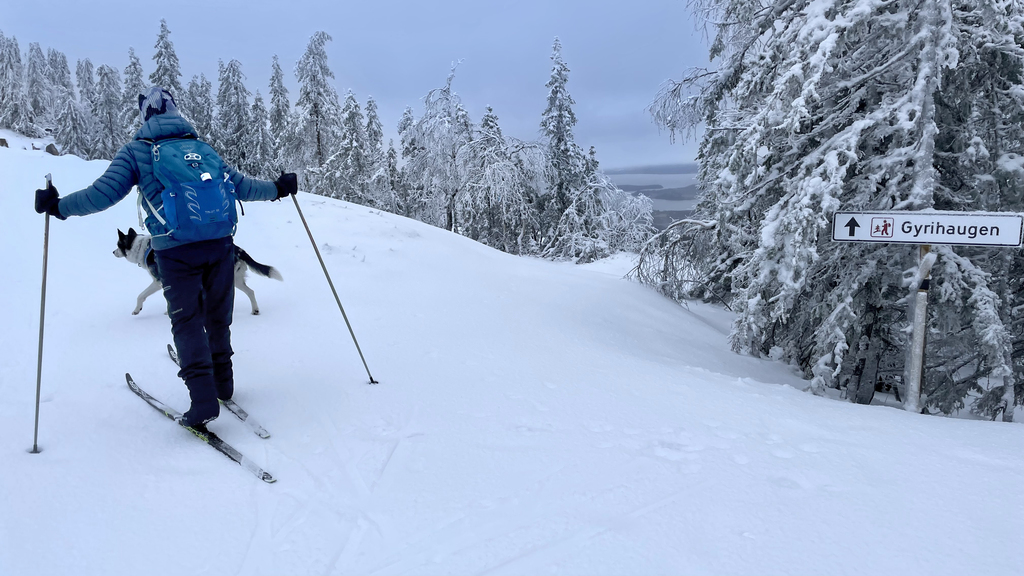 Sesongens første skitur til Gyrihaugen