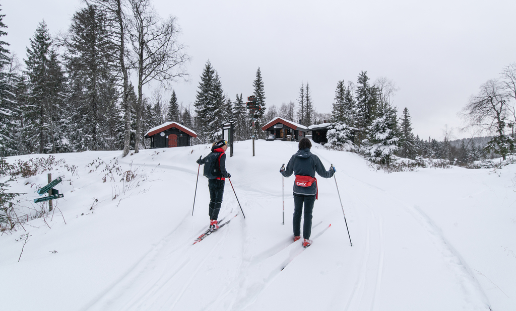 Sesongens første til Mikkelsbonn