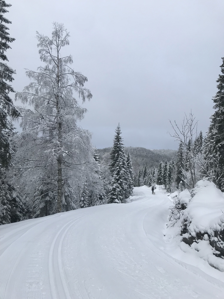 Strøkent i Romeriksåsene