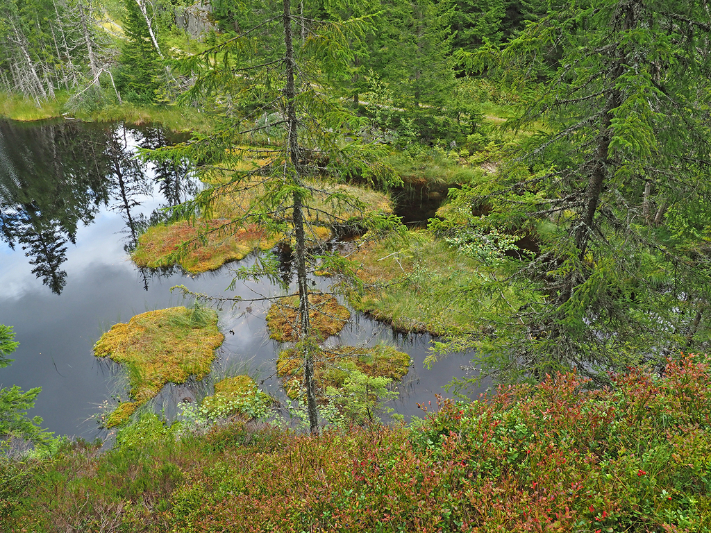Flytetorver ved utløpet av Hakklokroktjern