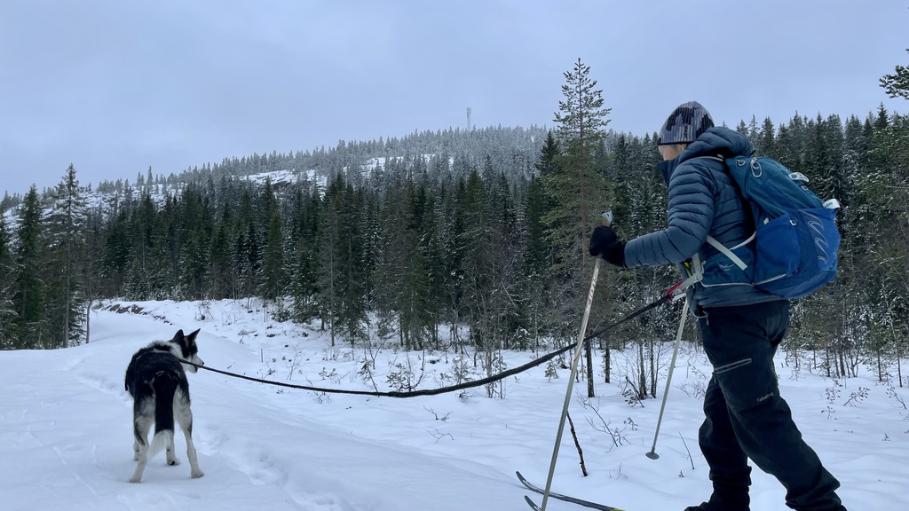 Med Gyrihaugen i sikte