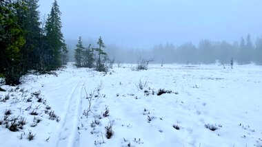 Skispor ved Borgersetra