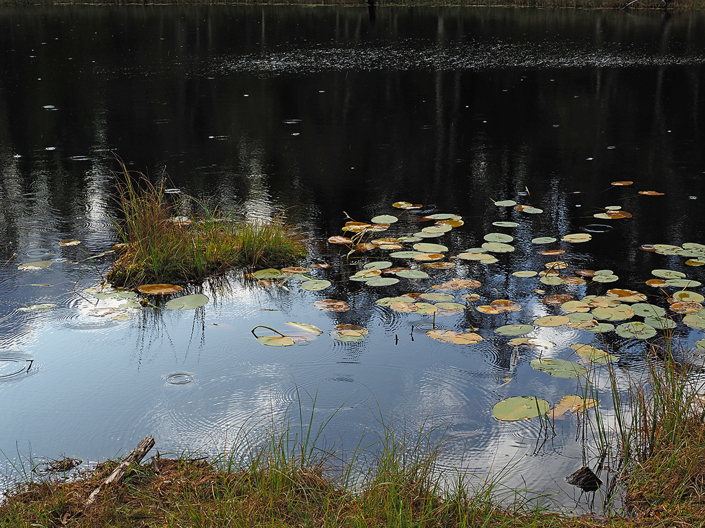 Haglskur ved Bodalsputten