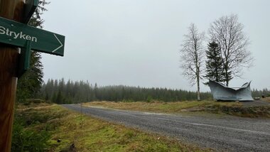 Venter på vinteren v. 2025