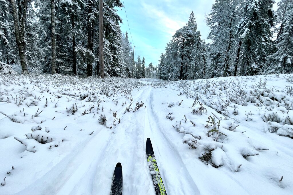Sesongdebut på natursnø i Marka