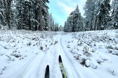 Sesongdebut på natursnø i Marka