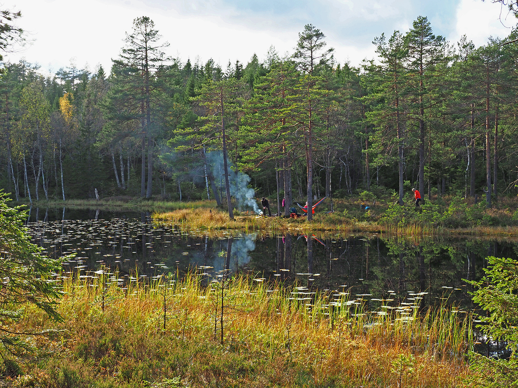Bålkos ved Bleiktjern