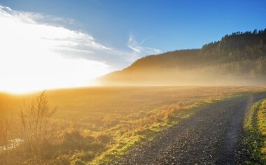 Kraftig motlys over gyllent landskap