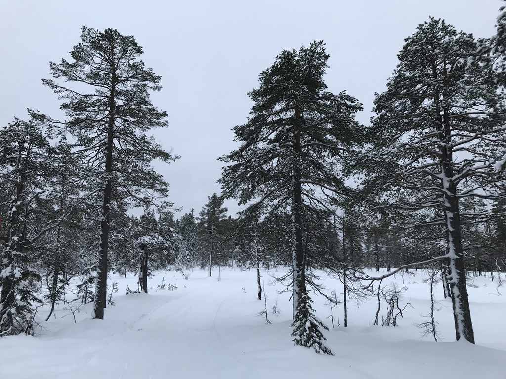 Maskinprepp i terrenget