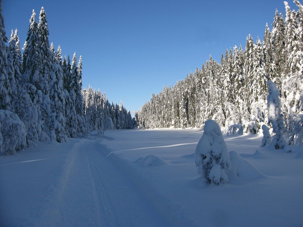 Over Tvetjernshøgda