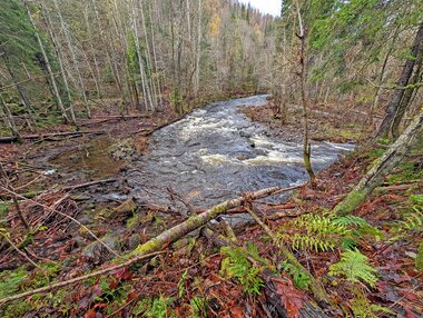 Elvesvingen nedstrøms brua til østsiden