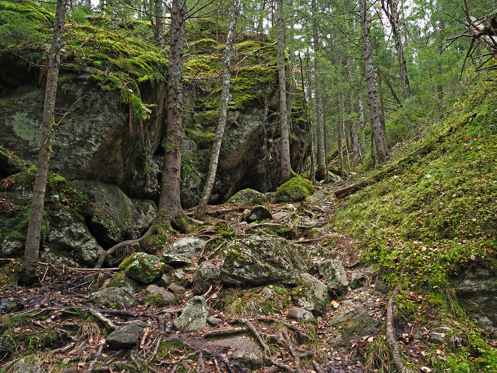 Blåstien fra Granerud