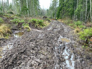 Nokså ufremkommelig