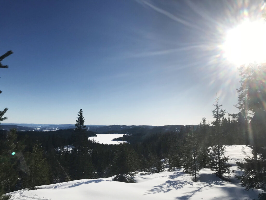 Utsyn mot Ørfiske og Nittedal