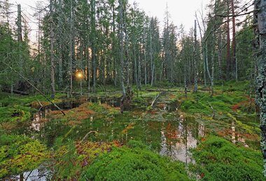 Andersputtens sanne ansikt