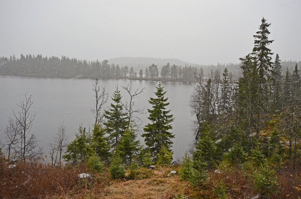 Øyangen: utsikt over Søndrevik mot Pintangen