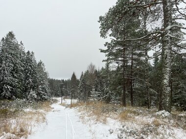 Første skitur på siste novemberdag