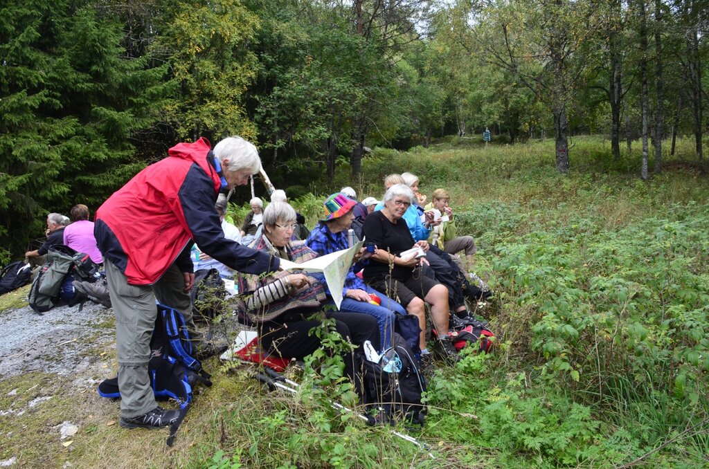 Rast på gammel kulturmark