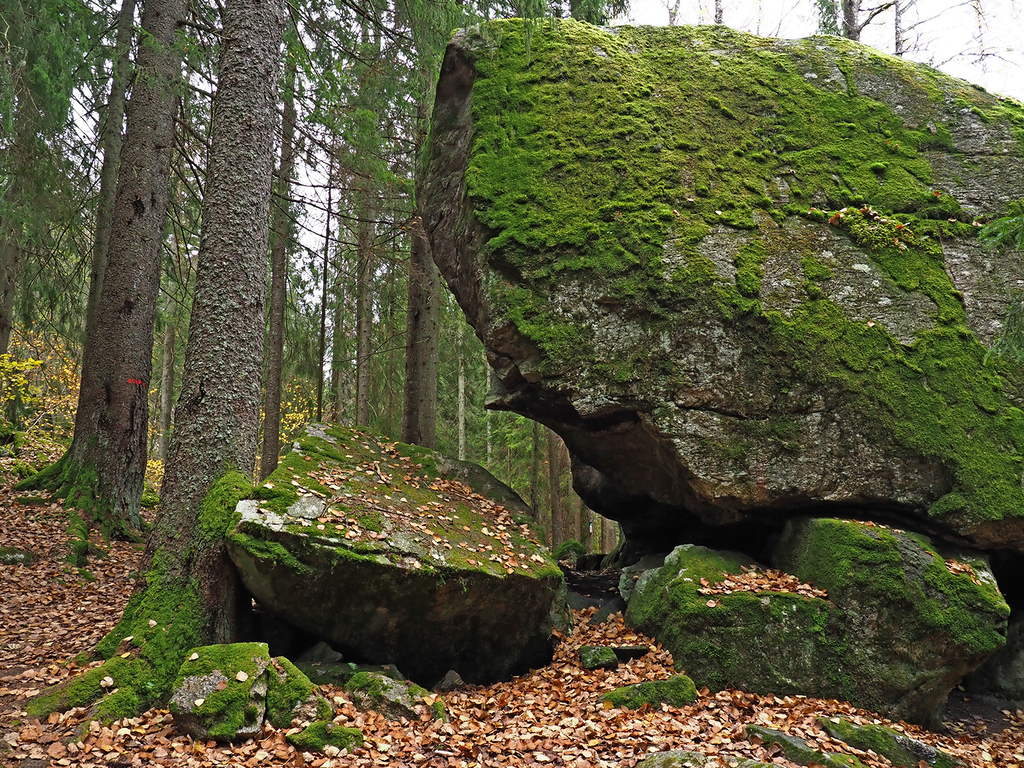 Gaupesteinen med avleggere