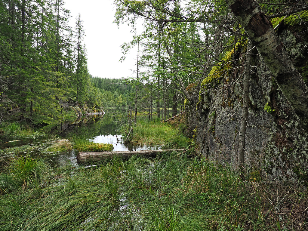 Hakklokroktjern sett fra utløpet