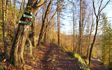 Fin tursti på Eineåsen