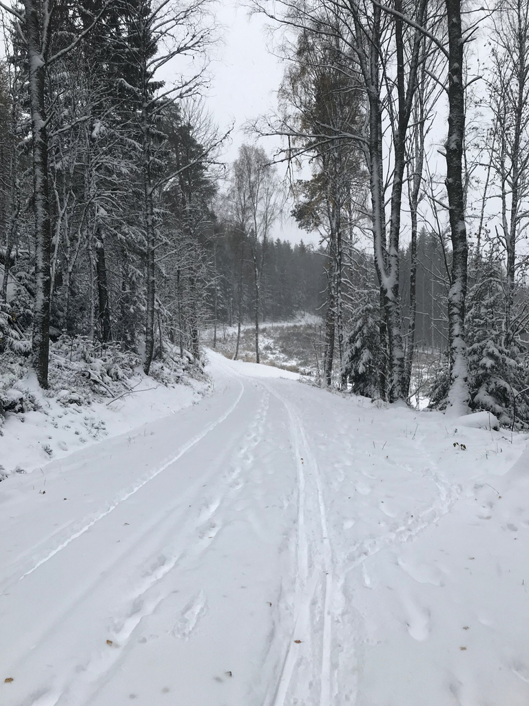 Hjemmefra på ski i oktober