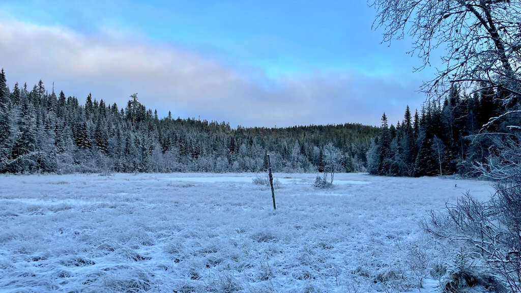 Tidligvinter i Bjønnputtdalen