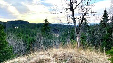 På Torkilstuhøgda SØ