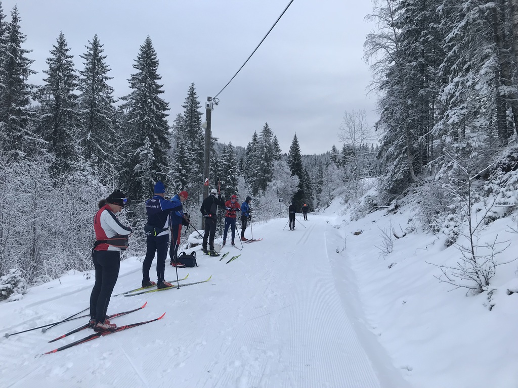 I flokk og følge fra Grua