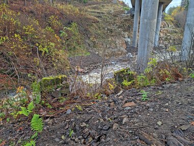 De aller siste rester av Bjørumsaga