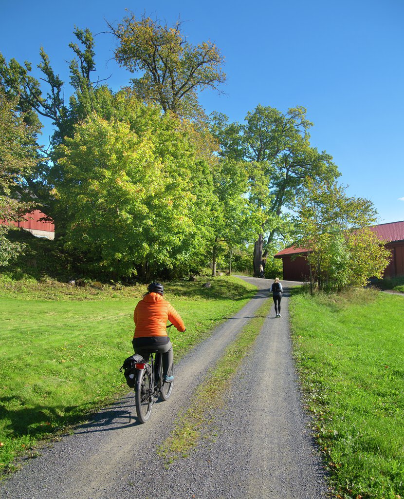 Flott høstdag ved Ringi gård