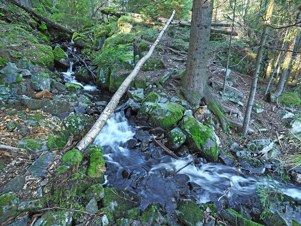 Mosjøen: bekken fra Tonevann