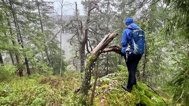 Ved det mest øde punktet i Lørenskog kommune