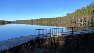 Blikkstille på Hauken
