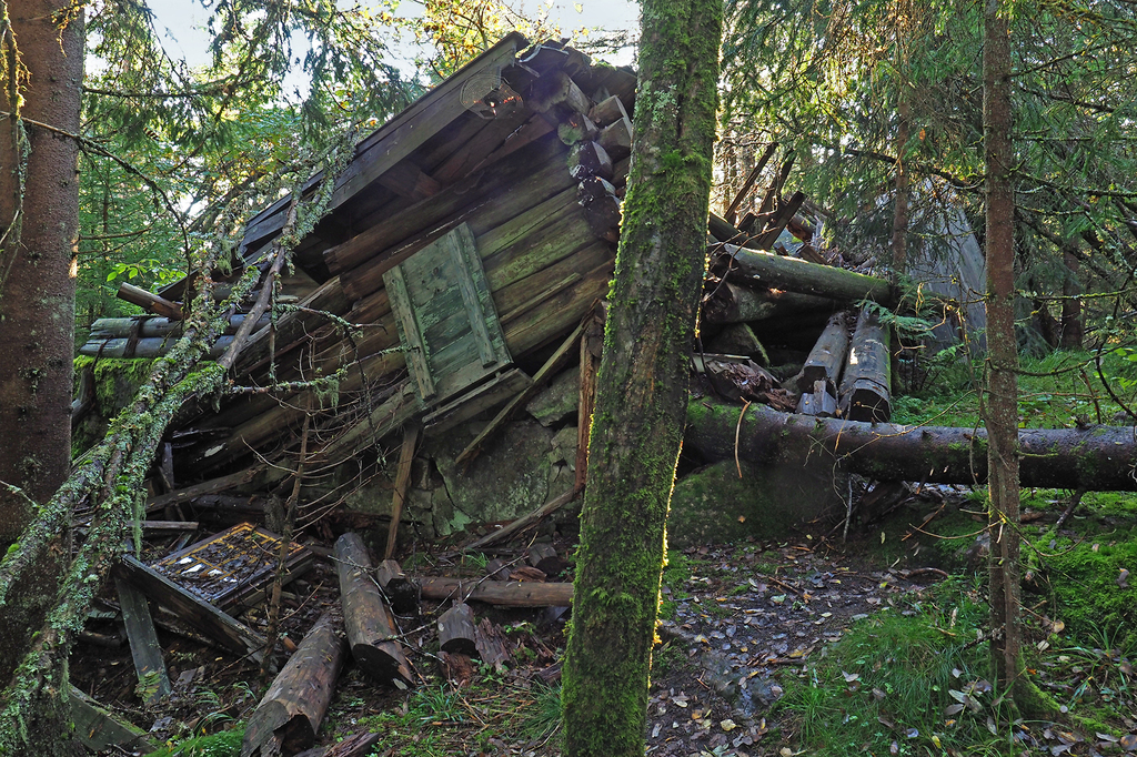 Friskhytta: et gjensyn